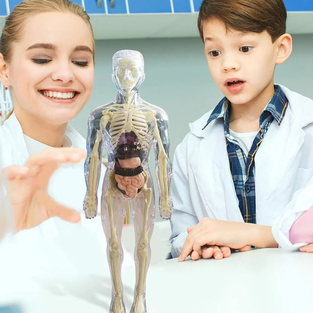 BodyQuest® - Model edukacyjny ludzkiego ciała dla dzieci
