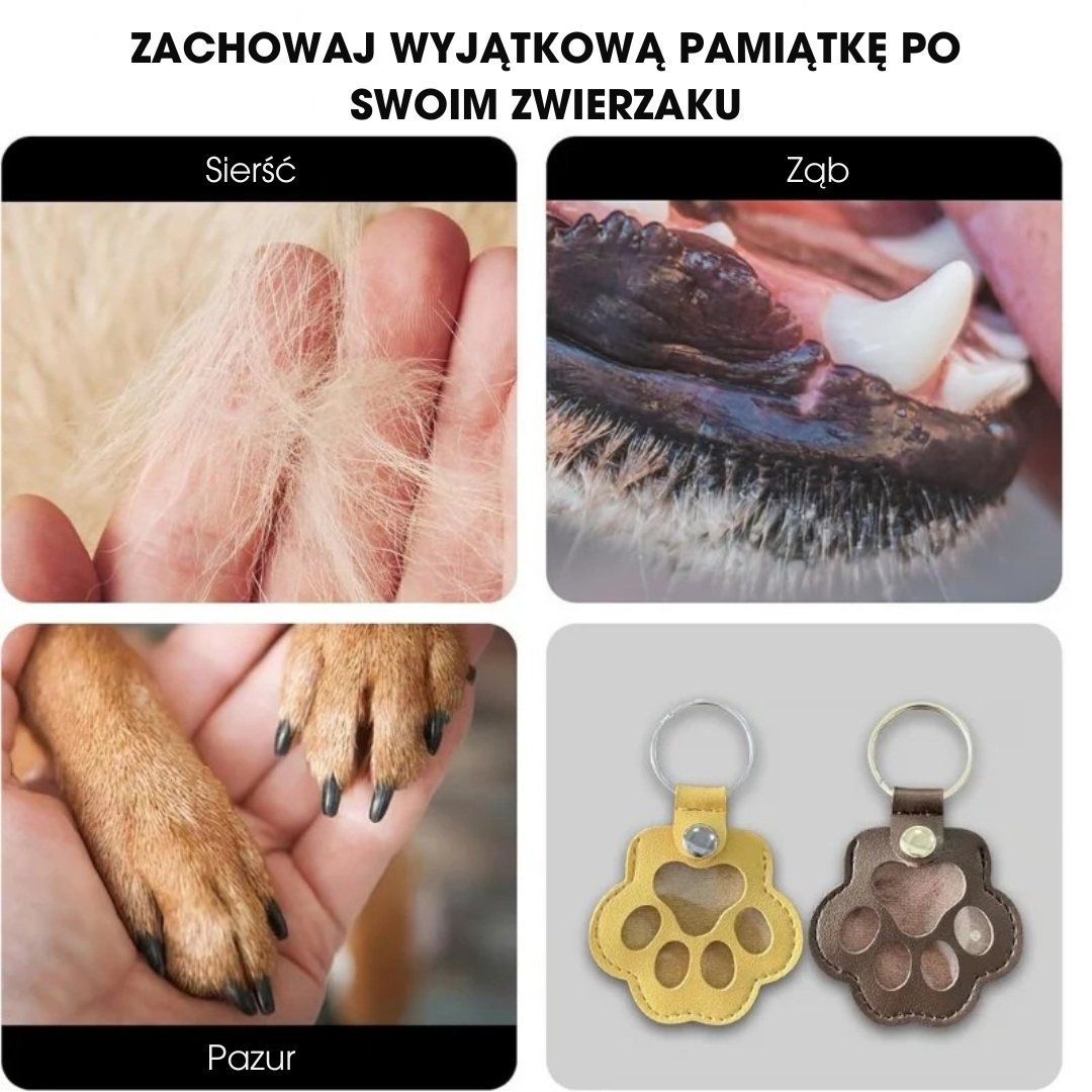 ForeverPaw™ - 1+1 GRATIS