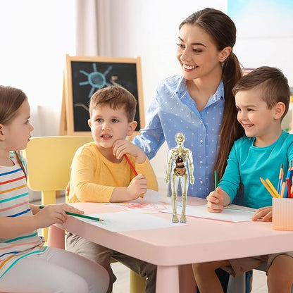 BodyQuest® - Model edukacyjny ludzkiego ciała dla dzieci