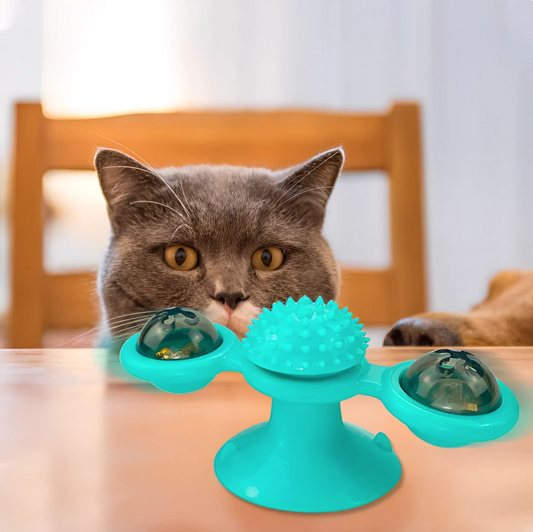 MeowSpin™ - Obrotowe koło dla kota