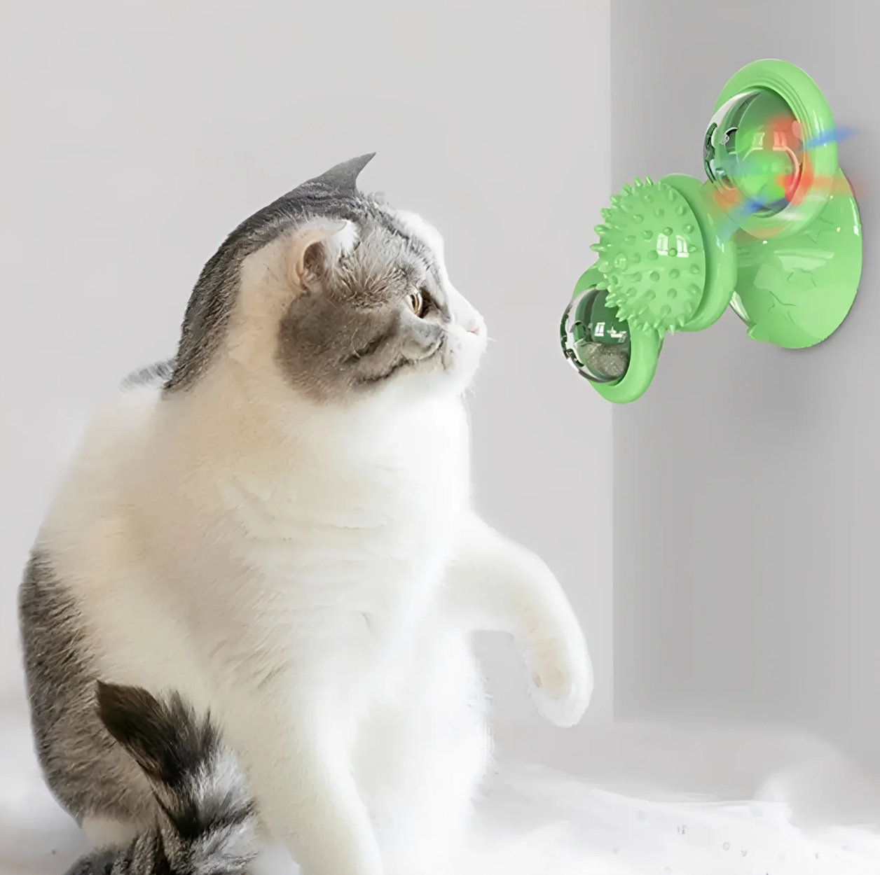 MeowSpin™ - Obrotowe koło dla kota