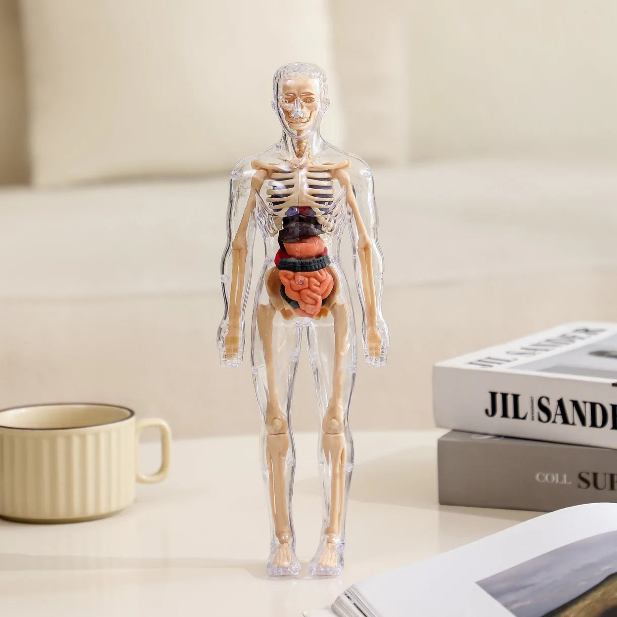 BodyQuest® - Model edukacyjny ludzkiego ciała dla dzieci